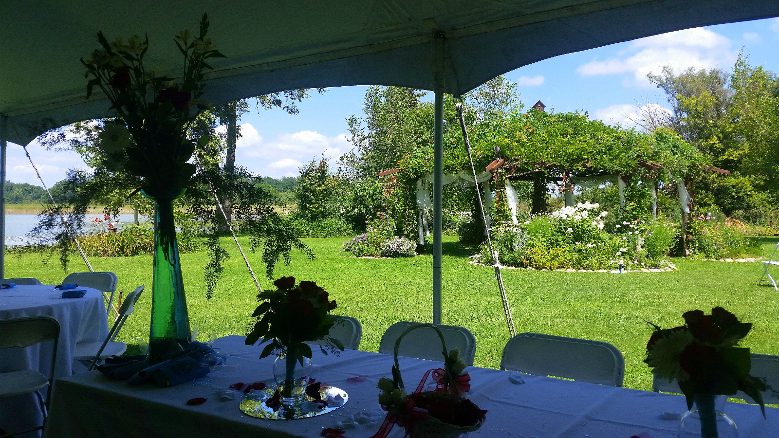 Flowering Gazebo in the distance